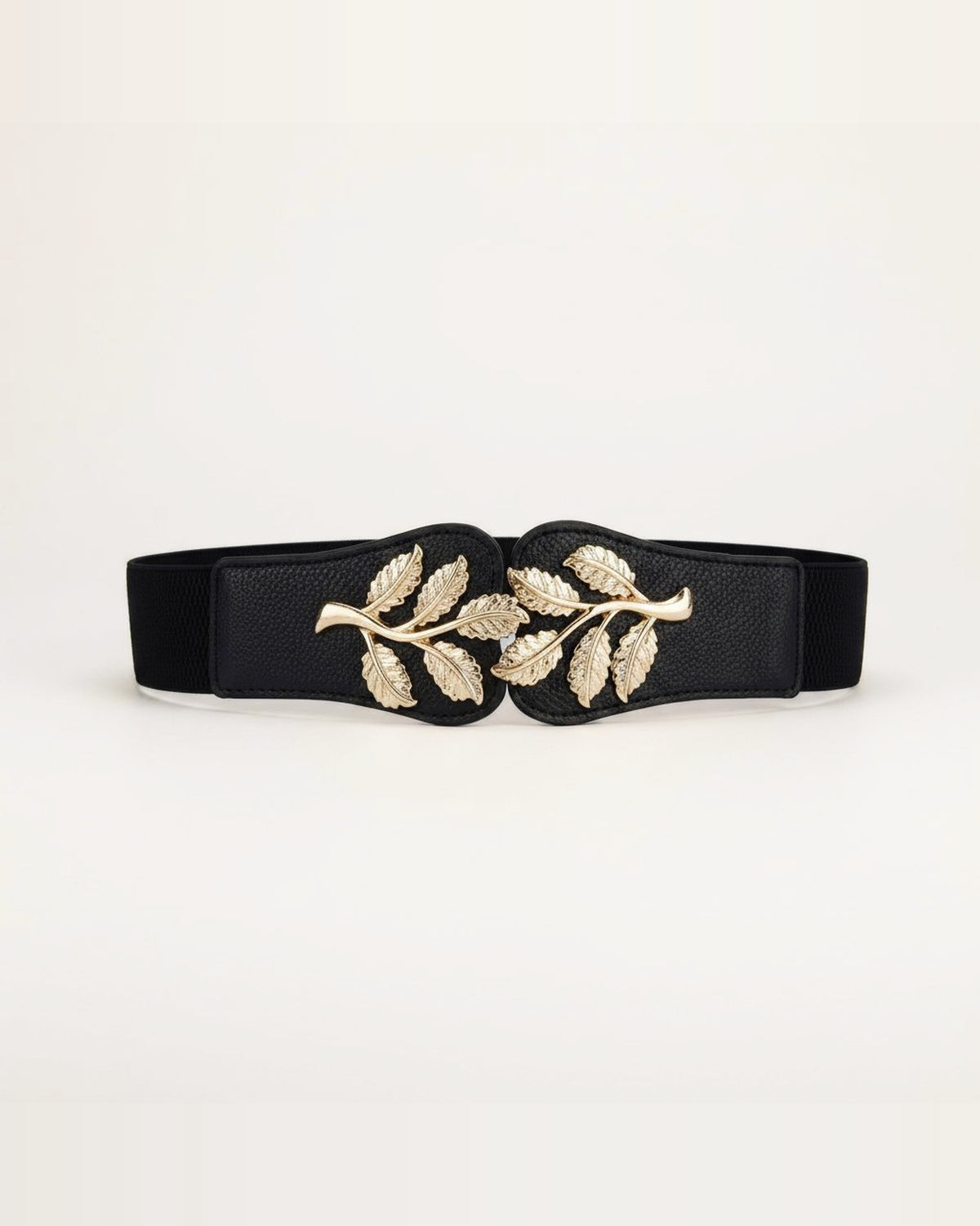 the cinch: black belt, coiled