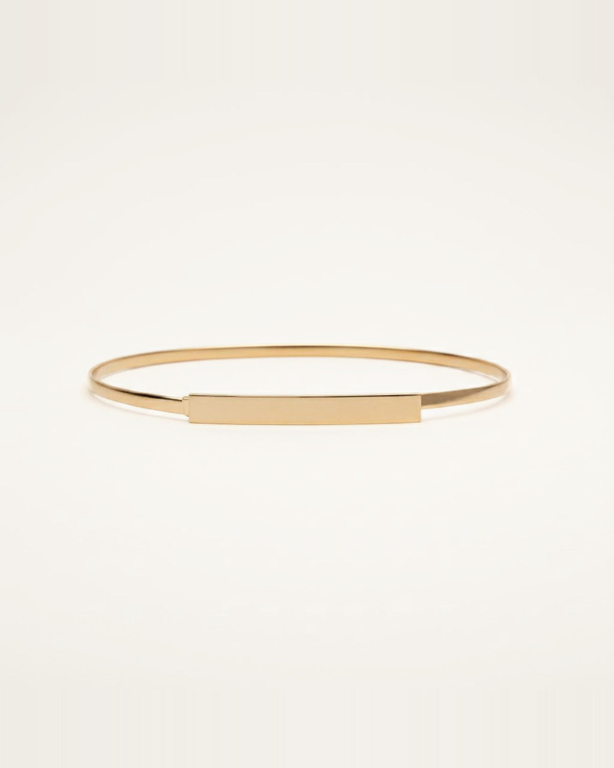 the plate: gold metal waist band with a flat plate