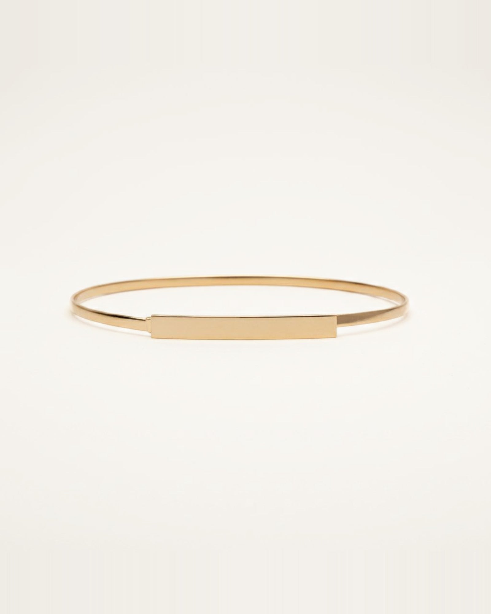 the plate — gold metal waist band with a flat plate