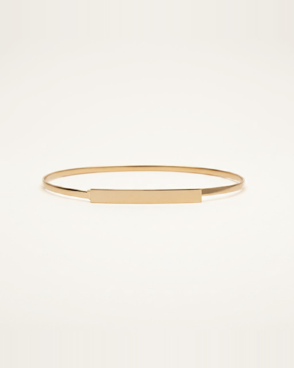 the plate — gold metal waist band with a flat plate