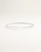 the plate — silver metal waist band with a flat plate